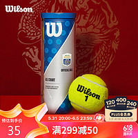 Wilson 威尔胜 大师赛通用网球比赛3只一罐 WR8208802001