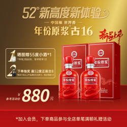 古井贡酒年份原浆古1652度500ml2瓶高度白酒新品