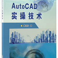 AutoCAD实操技术