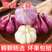 荆品名门 紫皮大蒜生鲜蔬菜新鲜大头蒜腌制糖醋泡蒜 3斤