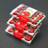风之郁 新鲜 草莓 4盒/一盒300g*15颗