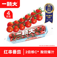 一颗大 ™ 红樱桃番茄 串收小西红柿生吃