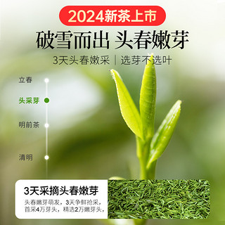 88VIP：贡苑 茶叶绿茶2024新茶嫩芽正宗特级明前碧螺春苏州原产伴手好礼