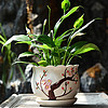米囹 花盆陶瓷家用带托盘花盆