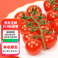 富美鹤城 串收樱桃番茄新鲜小西红柿酸甜多汁生吃水果番茄198g*4盒源头直发
