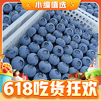 鲜程祥合 特大果 蓝莓 125g*6盒 单果17-21mm