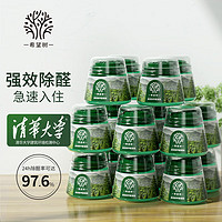 XIWANGSHU 希望树 去除甲醛果冻小绿罐16罐装