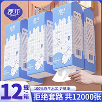 丽邦提挂式抽纸悬挂抽取式卫生纸家用擦手纸厕纸大包平板卫生纸巾