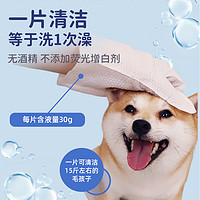 GiGwi 贵为 清洁手套宠物猫咪狗用免洗湿巾耐用洗澡除臭便携家用