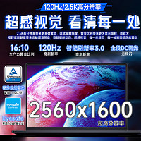 Lenovo 联想 小新Pro16 i9-13900H 32G 1TB
