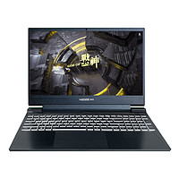 Hasee 神舟 战神S8D92 15.6英寸游戏本（i9-12900H、16GB、1TB、RTX4060）