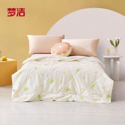 mendale梦洁家纺绵柔印花纤维夏凉被假日时光