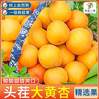 百亿补贴：御品一园 大黄杏子新鲜水果2.8斤