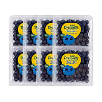 怡颗莓 Driscoll's云南蓝莓 12mm+8盒装
