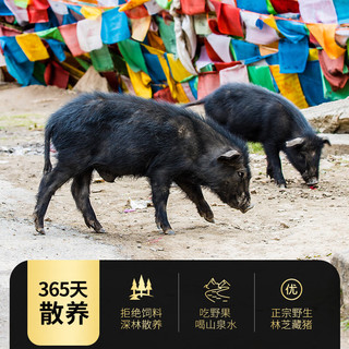 藏好西藏林芝正宗藏香猪肉新鲜黑毛猪肉冷冻农家散养原生土猪肉 精品10斤