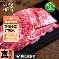 嘉平月藏香猪 林芝放牧藏香猪 精选黑猪肉散养新鲜原生态鲜猪 源头直发 梅花肉 10斤