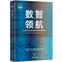 数智领航：内部审计数字化转型领航案例