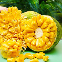 Kaooseen 靠森 海南黄肉菠萝蜜   25-30斤/1个