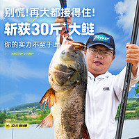 CHUANGWEI 创威 凌天鲢鳙钓鱼竿手杆超轻超硬28调轻量大物碳素鱼杆手竿台钓竿