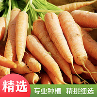 88VIP：鲁韵忆乡胡萝卜小果2.5kg新鲜蔬菜