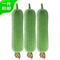 京百味 台湾短棒肉丝瓜 5斤装 新鲜蔬菜 源头直发