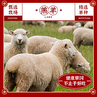 88VIP：茶牛 年货礼盒新西兰原切羊排1800g高端送人好礼