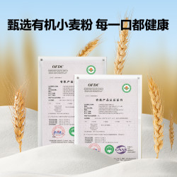 窝小芽 有机婴幼儿长面儿童营养长直面条宝宝辅食早餐140x1盒
