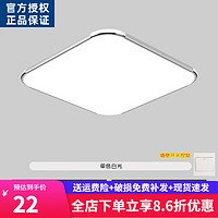 欧普源兴 灯具大全2024款客厅卧室灯餐厅灯吸顶灯LED现代简约大气客厅灯房 薄银30*30cm白光