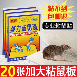 老鼠贴强力粘鼠板老鼠板胶药沾灭鼠器捕鼠神器克星家用正品一窝端