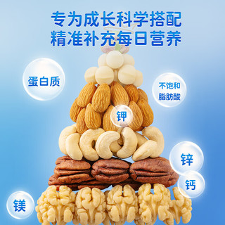 小鹿蓝蓝每日坚果纯坚果0果干0籽类高端原料0添加 【纯坚果】每日坚果*1盒