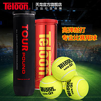 Teloon 天龙 网球比赛校园业余训练习用球桶装高弹耐磨 TOUR POUND（四只装）一听