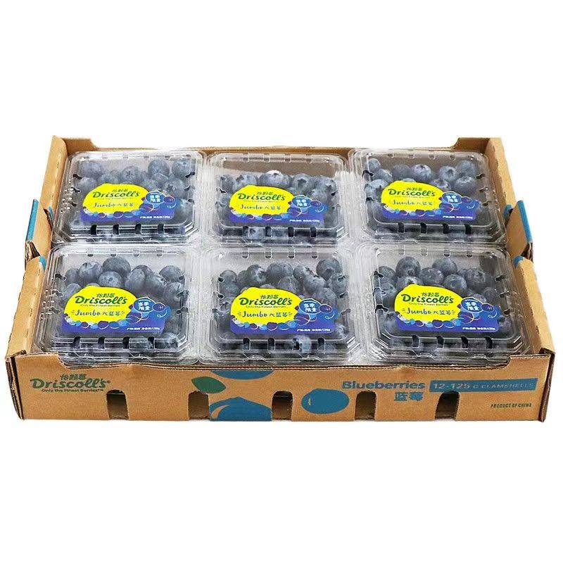 特大果 蓝莓 125g*12盒 果径15-18mm