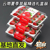 钱小二 新鲜 草莓 9盒/每盒15粒礼盒装