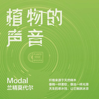 YOUKESHU 有棵树 40支莫代尔内裤女士纯棉裆抗菌少女生三角裤