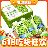 晴王 陽光玫瑰葡萄 6斤禮盒 裝 單果6G-12G