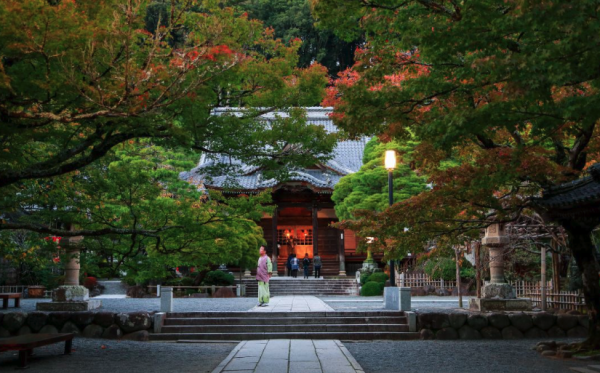 东京2h泡1200年历史的古老温泉一泊二食伊豆修善寺滝亭温泉酒店2晚含
