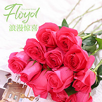 88VIP：丽江的花爱必达兰蔻花弗洛伊德玫瑰10枝顺丰达鲜花
