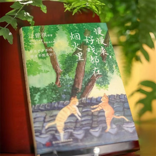 慢慢来，好戏都在烟火里（汪曾祺、梁实秋、丰子恺、沈从文等16位名家写给每一个人的生活之书。）