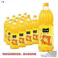 Coca-Cola 可口可乐 美汁源果粒橙果汁 1.25L*12瓶