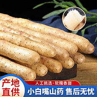 京百味 河北小白嘴山藥4.5-5斤 甄選單根30-40cm  新鮮蔬菜 源頭直發包郵