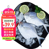 鲜京采 冷冻舟山鲜捕银鲳鱼1.5kg 14-16条/kg  源头直发 生鲜鱼类