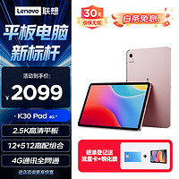 联想（Lenovo）异能者 生态品牌 12.6英寸 4G通话全网通游戏娱乐TUV爱眼云平板2.5K IPS屏12G+512G  K30樱花粉 K30(12G+512G)4G樱花粉