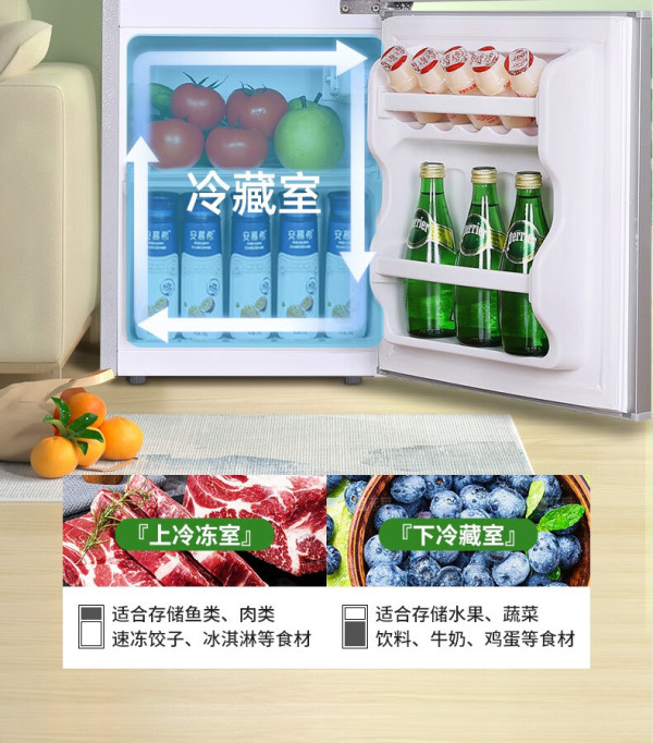移动端京东百亿补贴royalstar荣事达小冰箱迷你小型家用冷藏冷冻两用