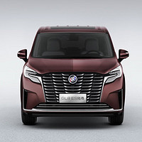 BUICK 別克 GL8 ES 陸尊 653T 豪華型  碧璽棕 碧璽棕