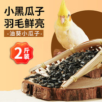 捕渔达人 油葵小瓜子1kg 鸟粮饲料黑珍珠油葵籽训练励食物鹦鹉鸟粮鸟食 小油葵黑瓜子 2斤装