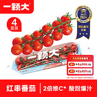 一顆大 ? 紅櫻桃番茄 源頭直發 串收水果番茄 小西紅柿生吃 198g*4盒