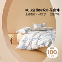 BLISS 百丽丝 素雅系列 纯棉床上四件套 叶影阑珊 150*210cm
