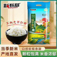 新布局猫牙米新鲜大米优质南方大米煲仔饭专用长颗粒香米煮饭蒸饭蛋炒饭 猫牙香米10KG