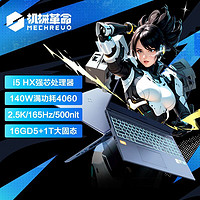 百亿补贴：机械革命 极光Pro i5-13450HX RTX4060 165Hz游戏本笔记本电脑