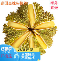 创味者泰国金枕头榴莲鲜果 巴掌榴莲生鲜水果 软糯香甜 金枕榴莲3-4斤（巴掌单果）